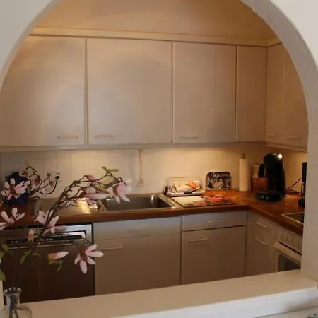 Residenza Al Mulin By Interhome Ascona