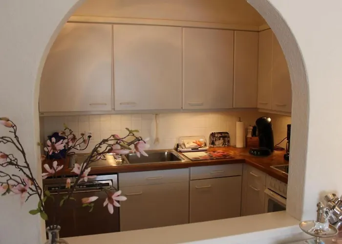 Residenza Al Mulin By Interhome Ascona